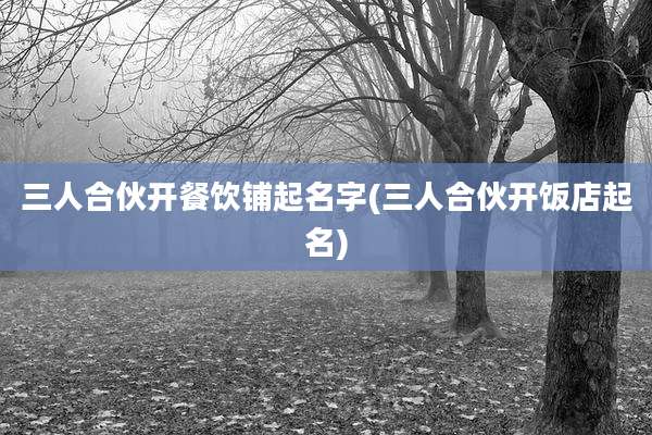 三人合伙开餐饮铺起名字(三人合伙开饭店起名)