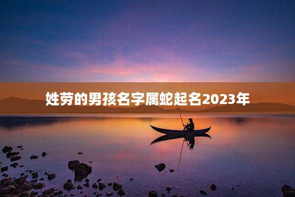 姓劳的男孩名字属蛇起名2023年