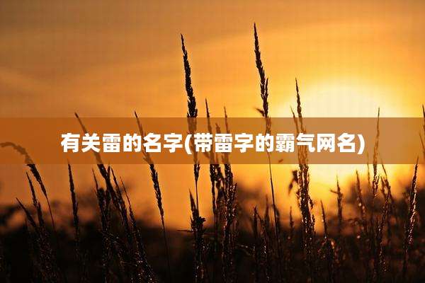 有关雷的名字(带雷字的霸气网名)