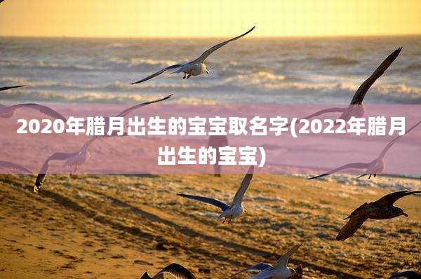 2020年腊月出生的宝宝取名字(2022年腊月出生的宝宝)