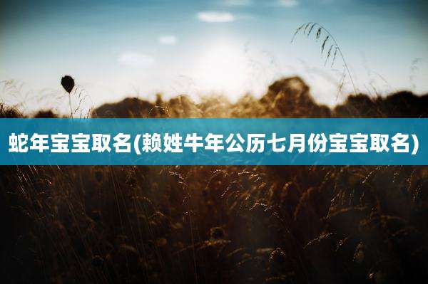 蛇年宝宝取名(赖姓牛年公历七月份宝宝取名)