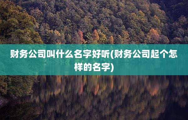 财务公司叫什么名字好听(财务公司起个怎样的名字)
