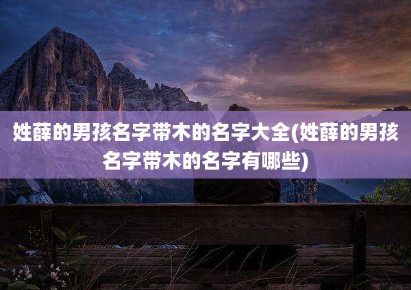姓薛的男孩名字带木的名字大全(姓薛的男孩名字带木的名字有哪些)