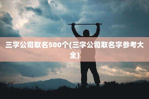 三字公司取名500个(三字公司取名字参考大全)