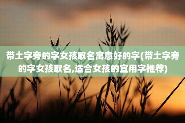 带土字旁的字女孩取名寓意好的字(带土字旁的字女孩取名,适合女孩的宜用字推荐)