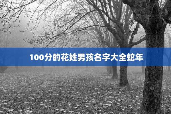 100分的花姓男孩名字大全蛇年