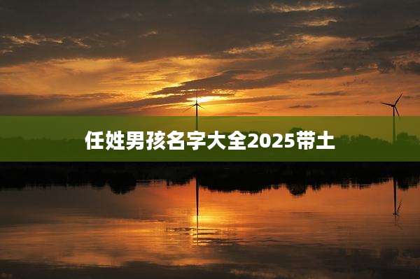 任姓男孩名字大全2025带土