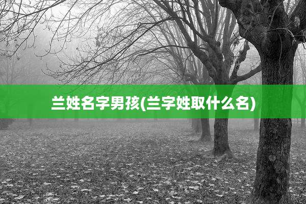 兰姓名字男孩(兰字姓取什么名)