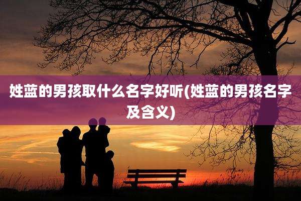 姓蓝的男孩取什么名字好听(姓蓝的男孩名字及含义)