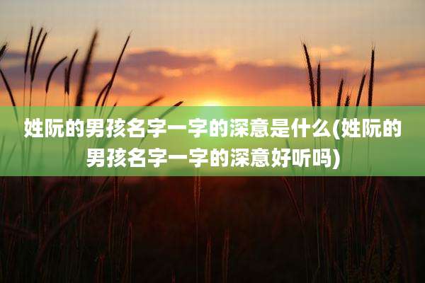 姓阮的男孩名字一字的深意是什么(姓阮的男孩名字一字的深意好听吗)
