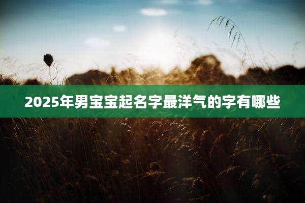 2025年男宝宝起名字最洋气的字有哪些