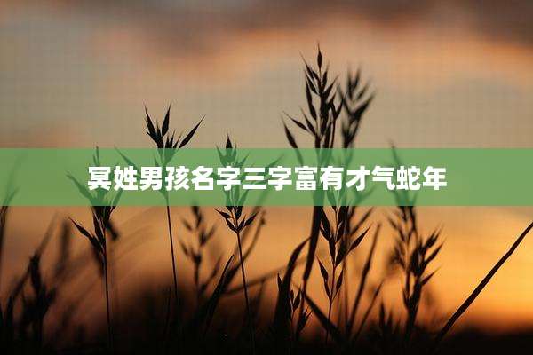 冥姓男孩名字三字富有才气蛇年