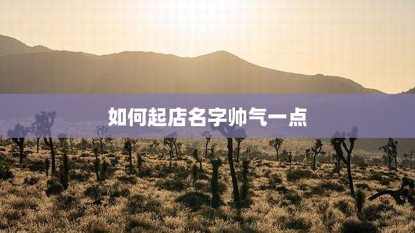 如何起店名字帅气一点