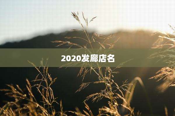 2020发廊店名
