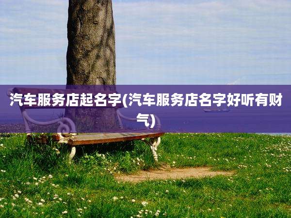 汽车服务店起名字(汽车服务店名字好听有财气)