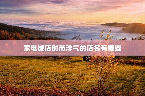 家电城店时尚洋气的店名有哪些