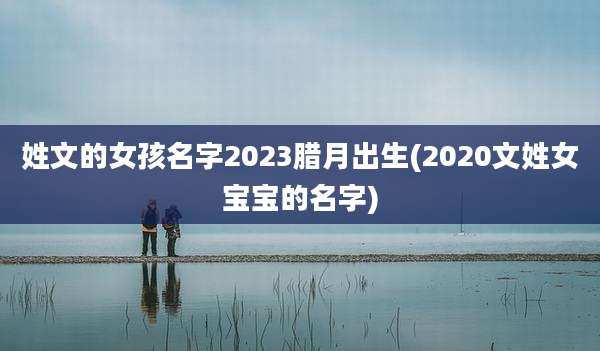 姓文的女孩名字2023腊月出生(2020文姓女宝宝的名字)