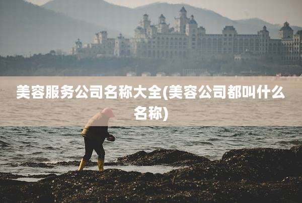 美容服务公司名称大全(美容公司都叫什么名称)