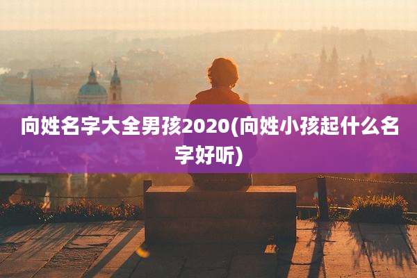 向姓名字大全男孩2020(向姓小孩起什么名字好听)