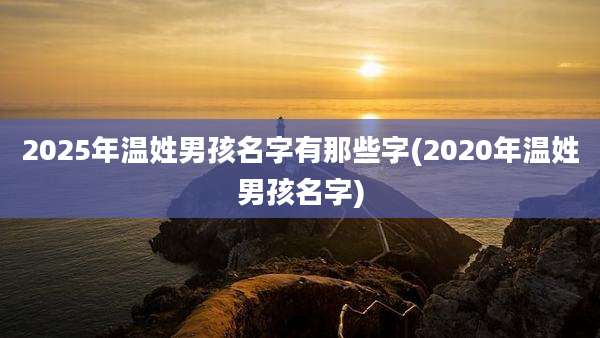 2025年温姓男孩名字有那些字(2020年温姓男孩名字)