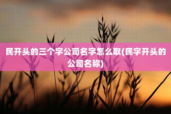 民开头的三个字公司名字怎么取(民字开头的公司名称)