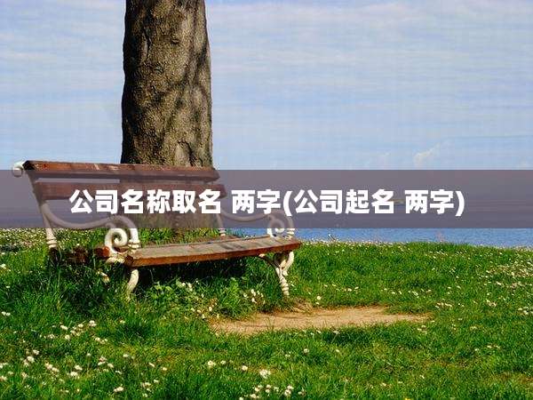 公司名称取名 两字(公司起名 两字)