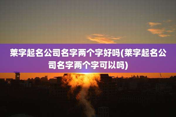 莱字起名公司名字两个字好吗(莱字起名公司名字两个字可以吗)