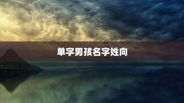单字男孩名字姓向