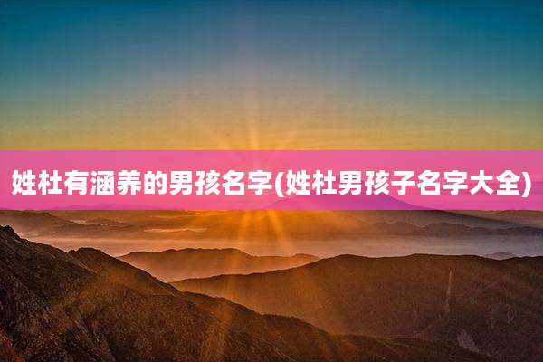 姓杜有涵养的男孩名字(姓杜男孩子名字大全)