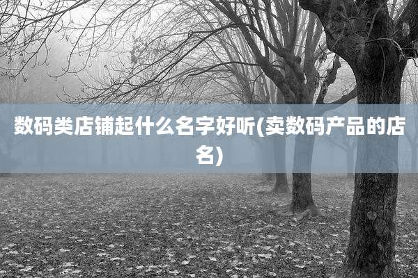 数码类店铺起什么名字好听(卖数码产品的店名)