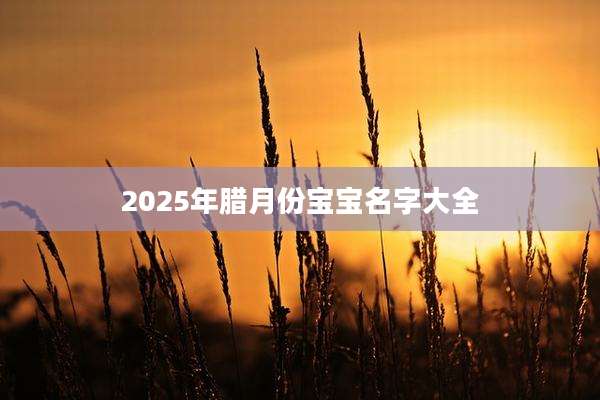 2025年腊月份宝宝名字大全