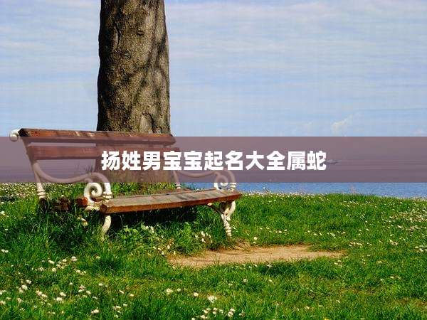 扬姓男宝宝起名大全属蛇