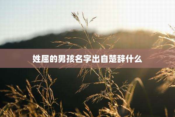 姓屈的男孩名字出自楚辞什么