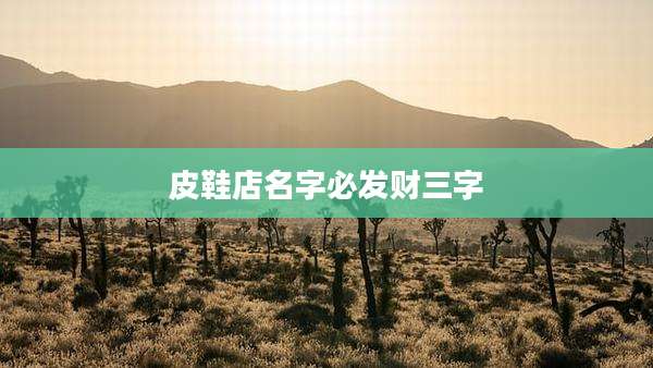 皮鞋店名字必发财三字
