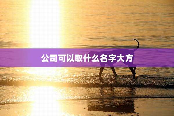 公司可以取什么名字大方