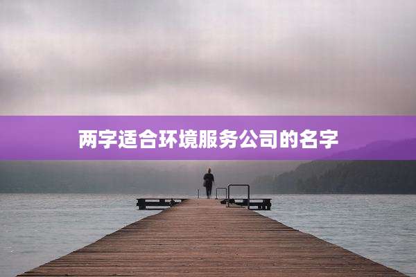 两字适合环境服务公司的名字