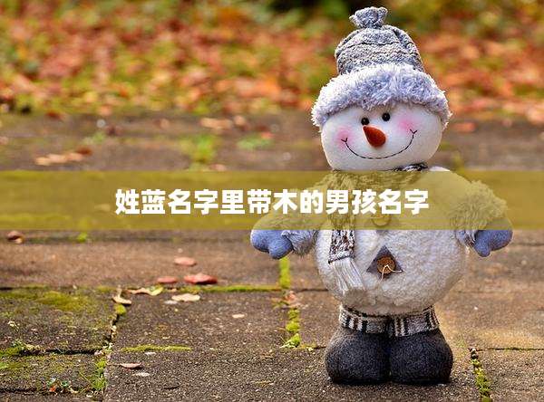 姓蓝名字里带木的男孩名字