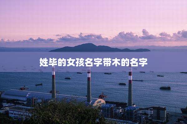 姓毕的女孩名字带木的名字