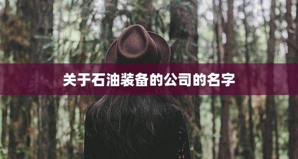 关于石油装备的公司的名字