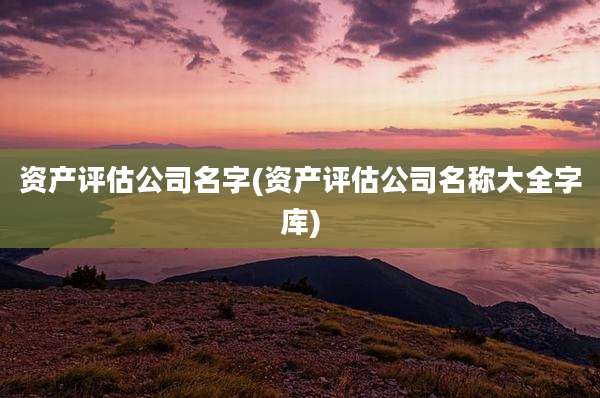 资产评估公司名字(资产评估公司名称大全字库)