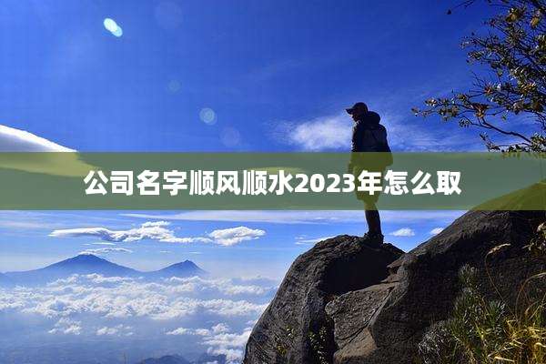 公司名字顺风顺水2023年怎么取