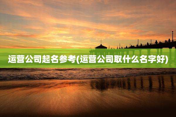 运营公司起名参考(运营公司取什么名字好)