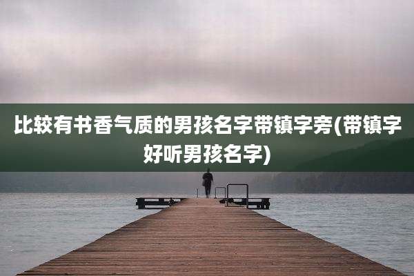 比较有书香气质的男孩名字带镇字旁(带镇字好听男孩名字)
