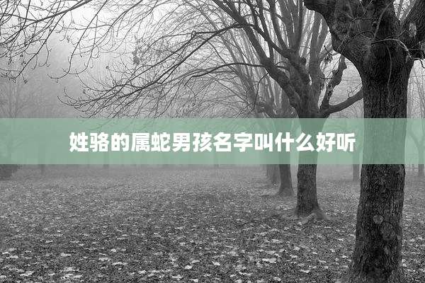 姓骆的属蛇男孩名字叫什么好听