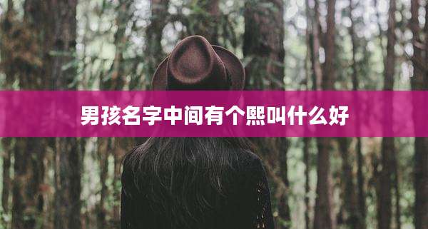男孩名字中间有个熙叫什么好