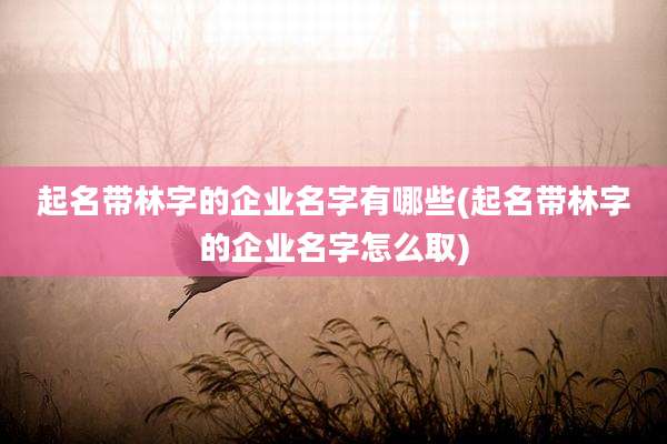起名带林字的企业名字有哪些(起名带林字的企业名字怎么取)