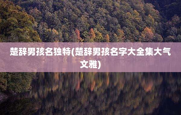 楚辞男孩名独特(楚辞男孩名字大全集大气文雅)