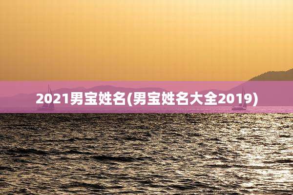 2021男宝姓名(男宝姓名大全2019)