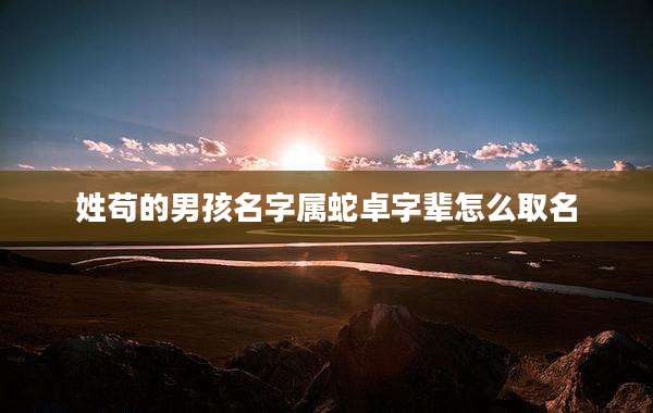 姓苟的男孩名字属蛇卓字辈怎么取名