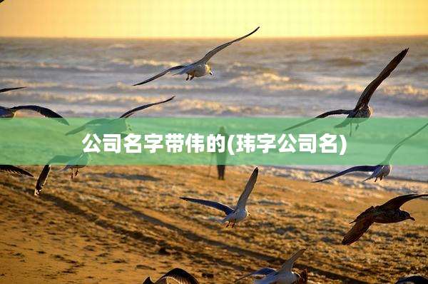 公司名字带伟的(玮字公司名)